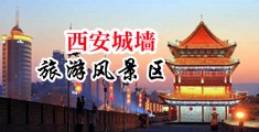 国产美女操逼视频中国陕西-西安城墙旅游风景区