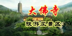 小sao逼看我怎么c死你视频中国浙江-新昌大佛寺旅游风景区